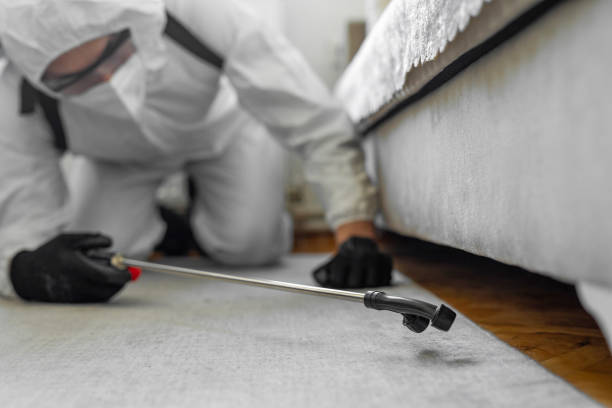 Professional Mosquito Control technician working in Hillview, KY