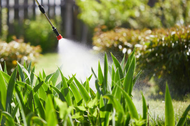 24/7 Emergency Mosquito Control experts in Hillview, KY